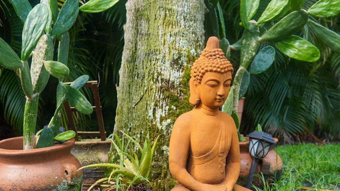 Discovering Bodhi Seeds and Their Role in Spiritual Rituals - EclipticJew